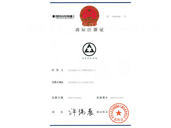 企業(yè)資質 (4).jpg